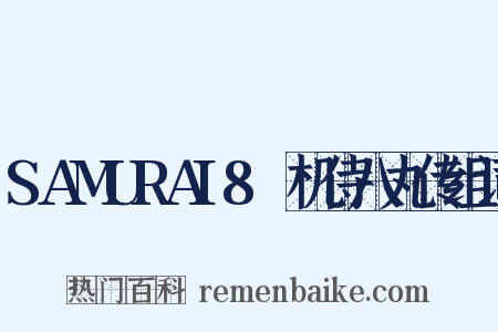 SAMURAI8～机侍八丸传组词是什么意思的图片